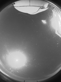 sxoc_clear_full_moon_48s_24k__thumb.png