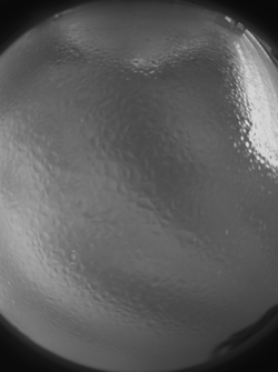 sxoc_high_humidity_67s_23k__thumb.png