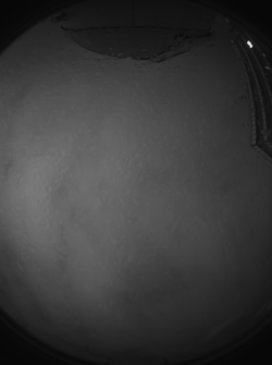 sxoc_thumb_24k_6s_cloudy_damp__thumb.png